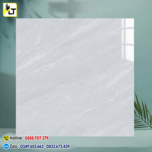Gạch 60x60 TK6681N