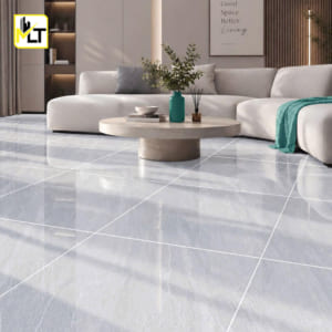 Gạch 60x60 TK6681N