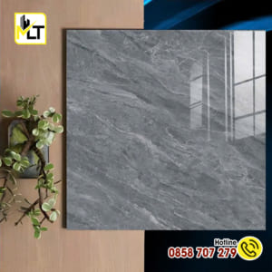 Gạch 60x60 66002 (Đá bóng kiếng)